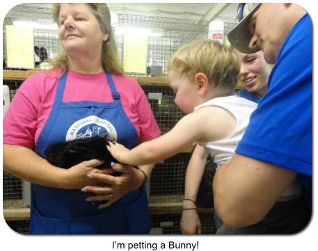 I�m petting a Bunny!